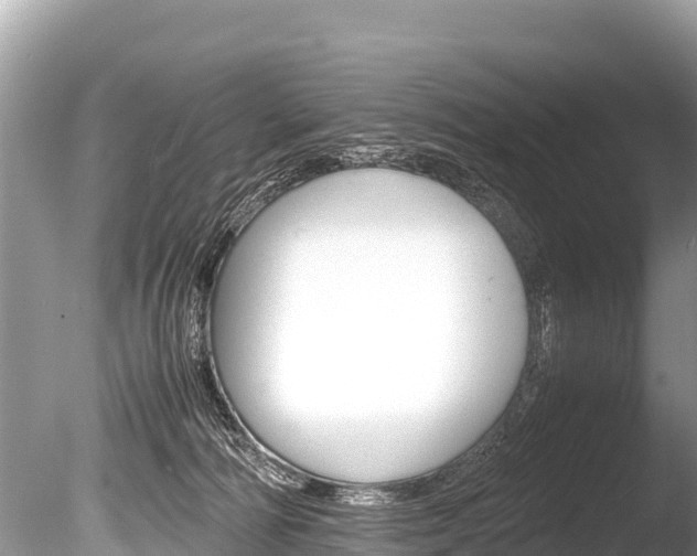 X0000086260226200703291111