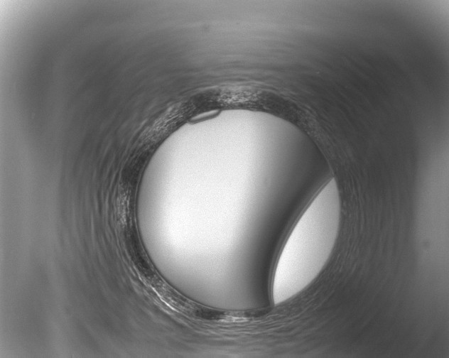 X0000086260227200703291111