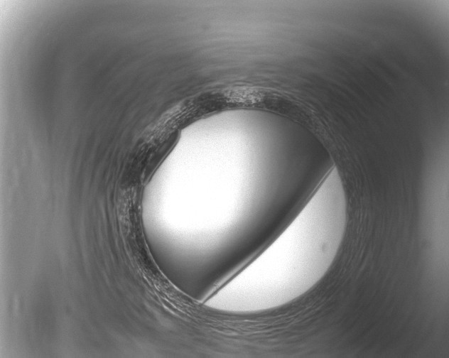 X0000086260229200703291111
