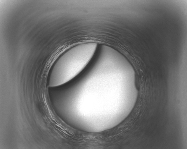 X0000086260241200703291110