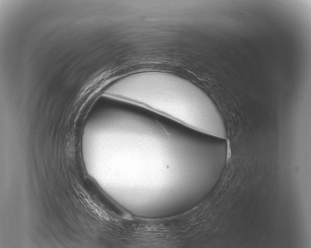 X0000086260243200703291110