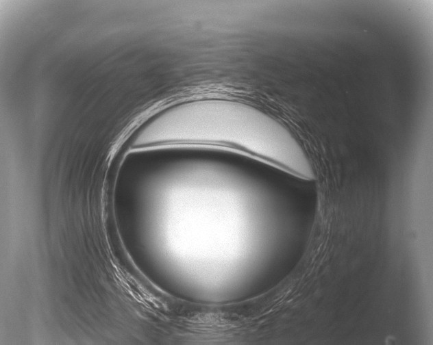 X0000086260244200703291110