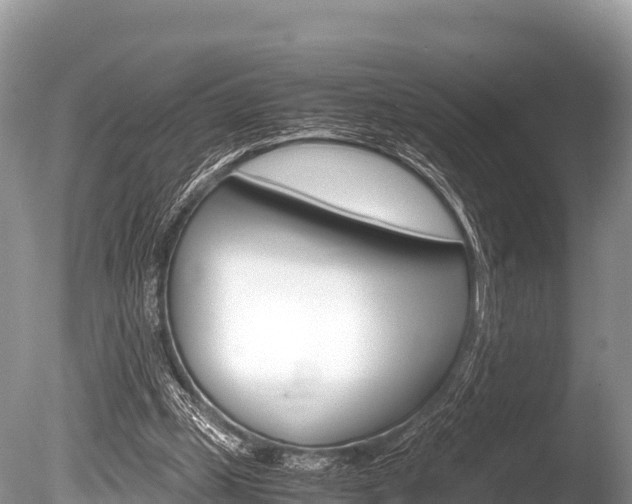X0000086260249200703291110