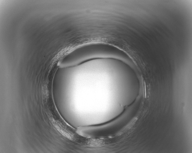 X0000086260252200703291110