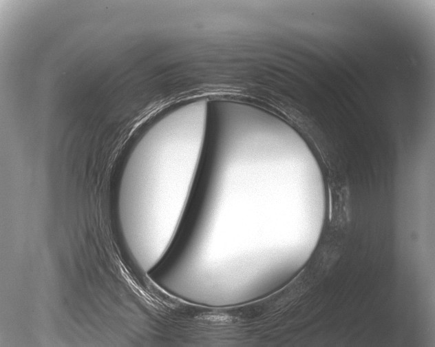 X0000086260253200703291110
