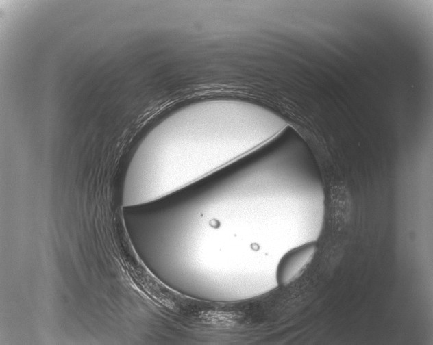 X0000086260255200703291110