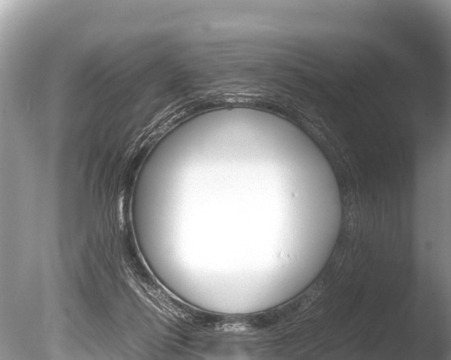 X0000086260262200703291110