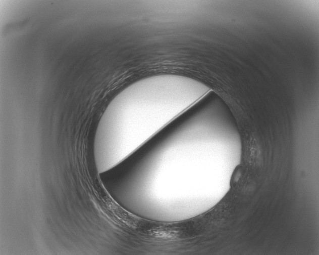 X0000086260263200703291110