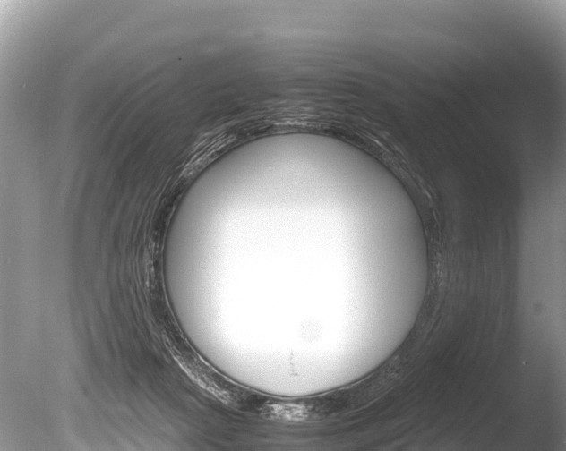 X0000086260265200703291110