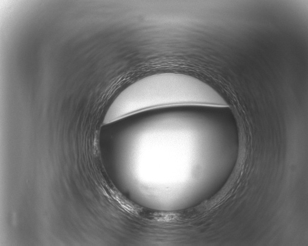 X0000086260288200703291111