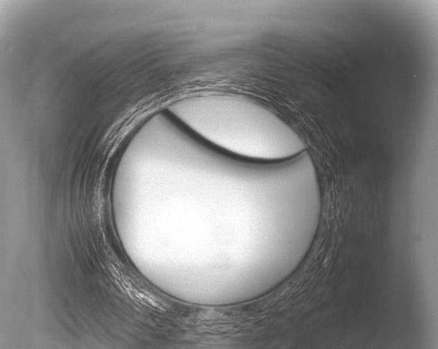 X0000086260290200703291110