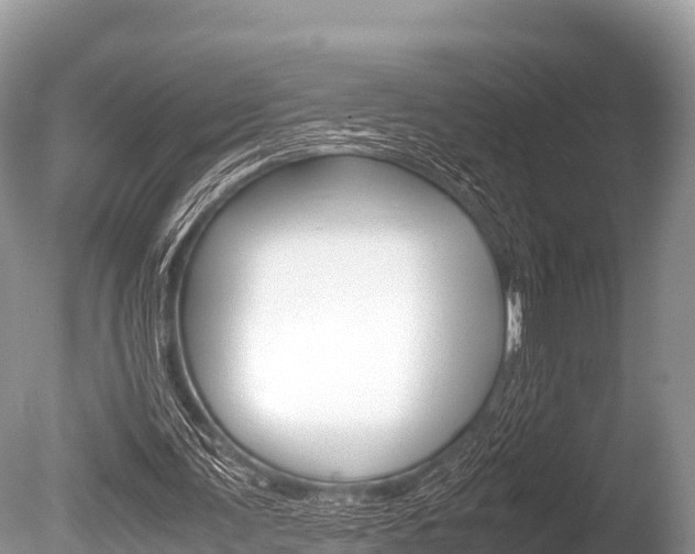 X0000086260291200703291110