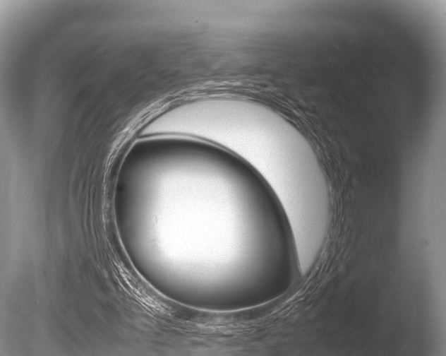 X0000086260293200703291110