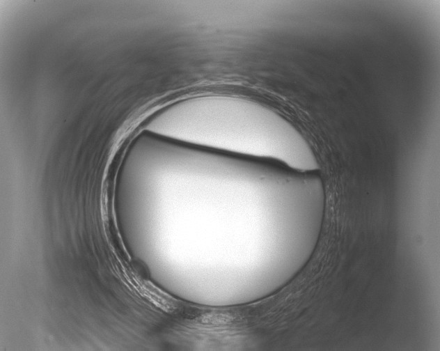 X0000086260294200703291110