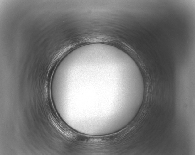 X0000086260298200703291110