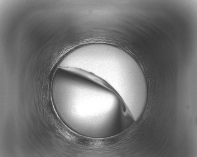 X0000086260301200703291110