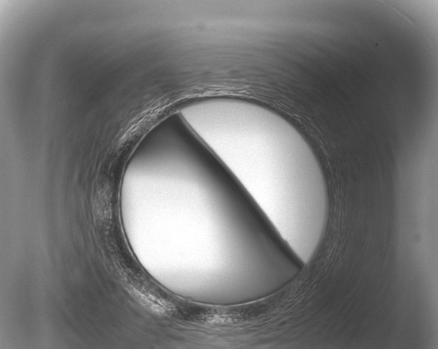 X0000086260303200703291110