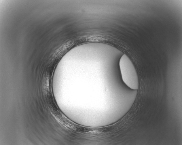 X0000086260310200703291109