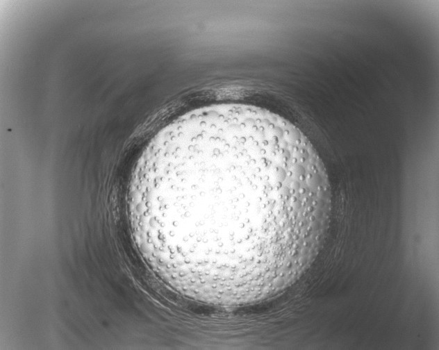 X0000086260311200703291109