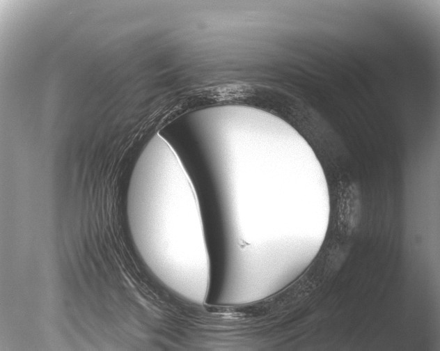 X0000086260316200703291109