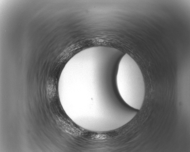 X0000086260324200703291109