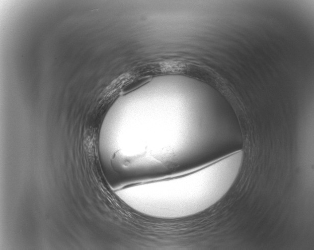 X0000086260329200703291109
