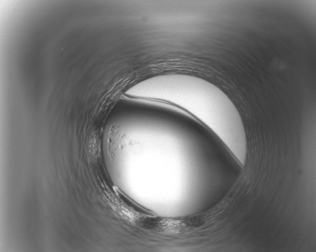 X0000086260333200703291109