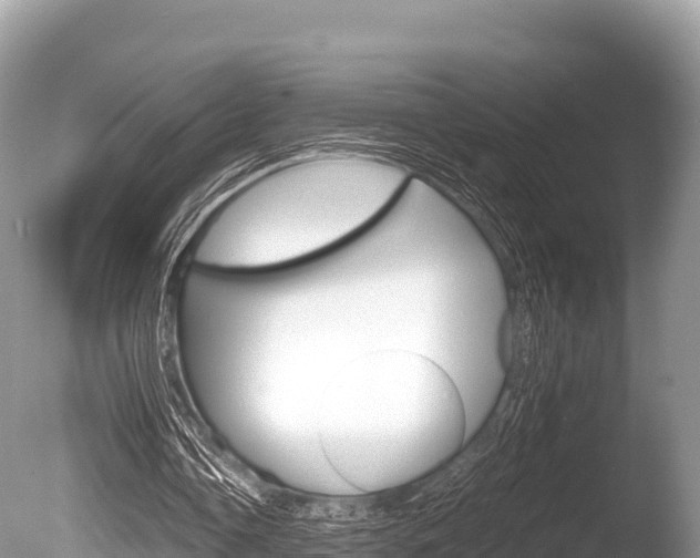 X0000086260338200703291108