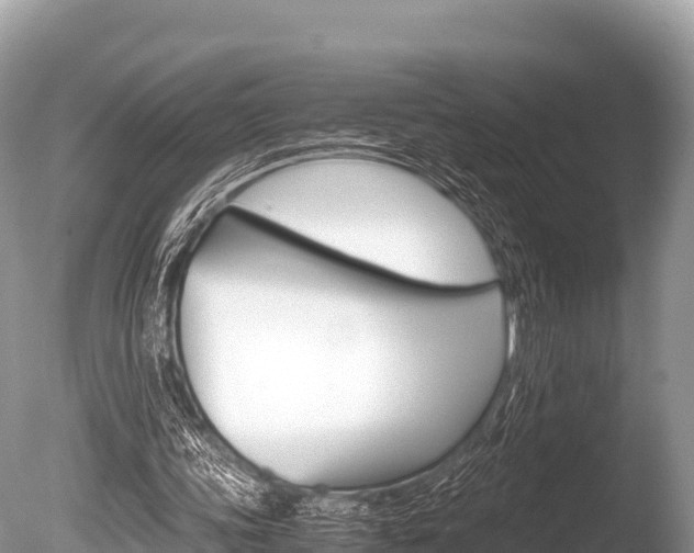 X0000086260339200703291108