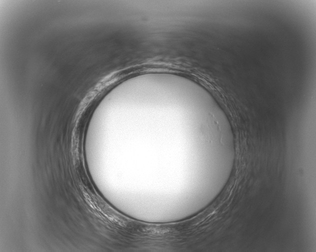 X0000086260343200703291108