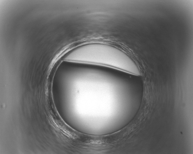 X0000086260344200703291108
