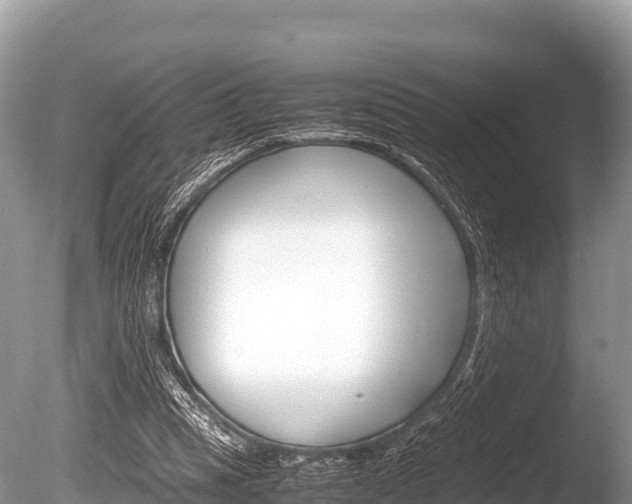 X0000086260345200703291108