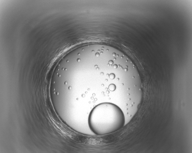 X0000086260346200703291108