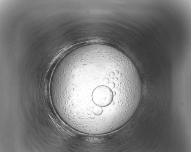 X0000086260347200703291108