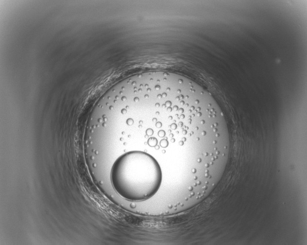 X0000086260354200703291108