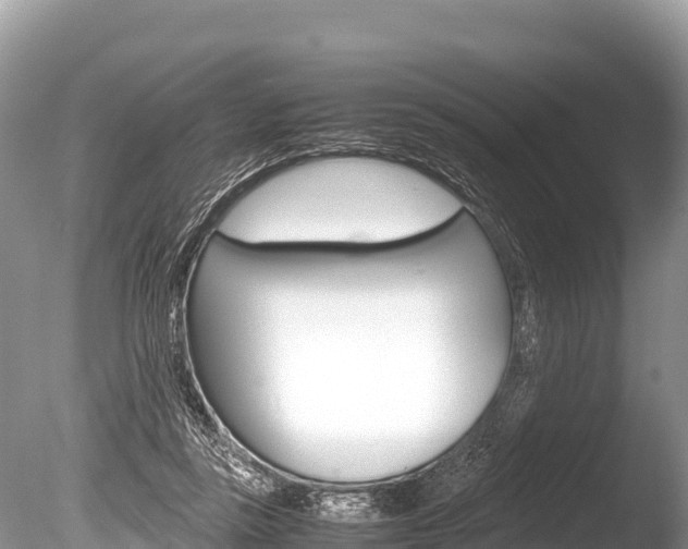 X0000086260355200703291108