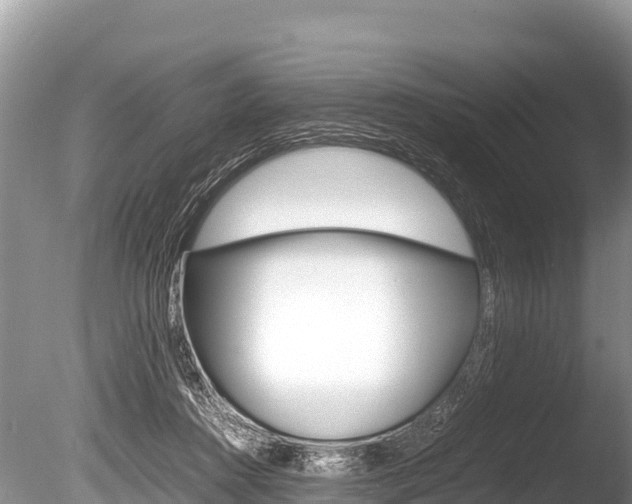 X0000086260360200703291109