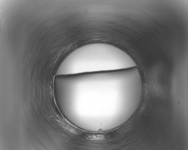 X0000086260361200703291109