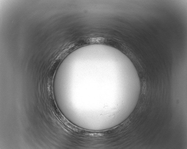 X0000086260363200703291109