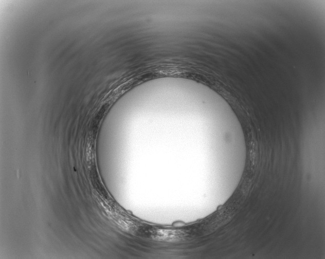 X0000086260371200703291109