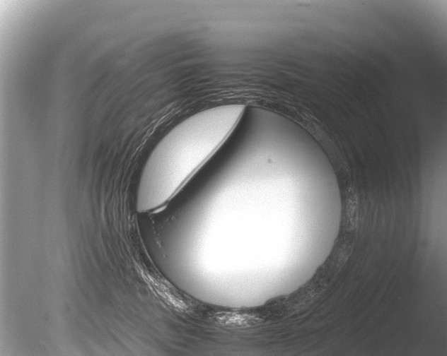 X0000086260379200703291109