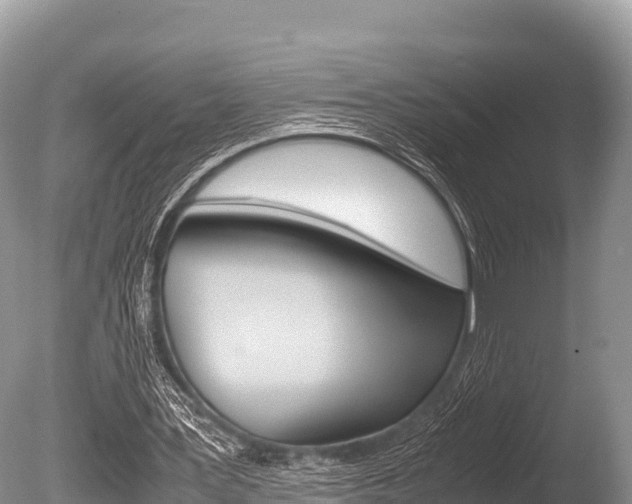 X0000086260387200703291108