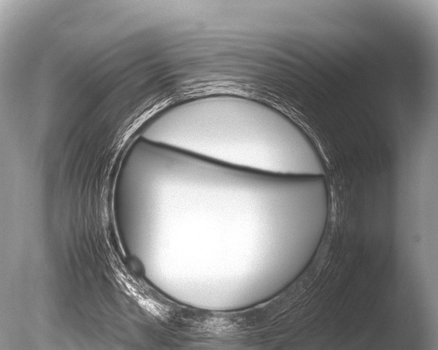 X0000086260390200703291108
