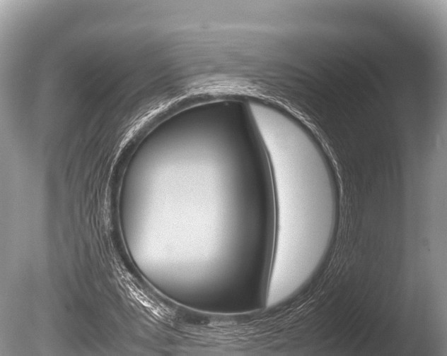 X0000086260391200703291108