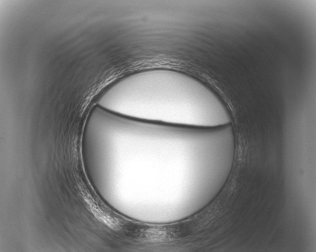 X0000086260394200703291108
