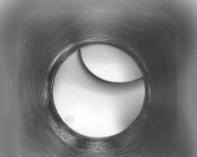 X0000086260396200703291108
