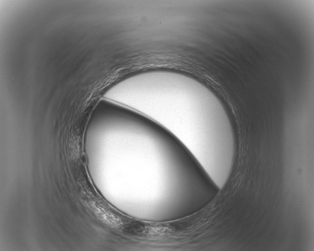 X0000086260401200703291108