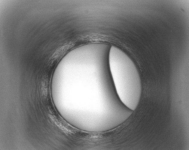 X0000086260402200703291108