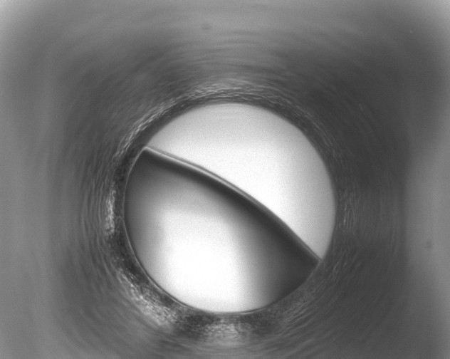 X0000086260404200703291108