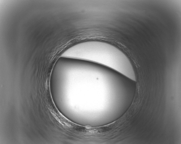 X0000086260405200703291108
